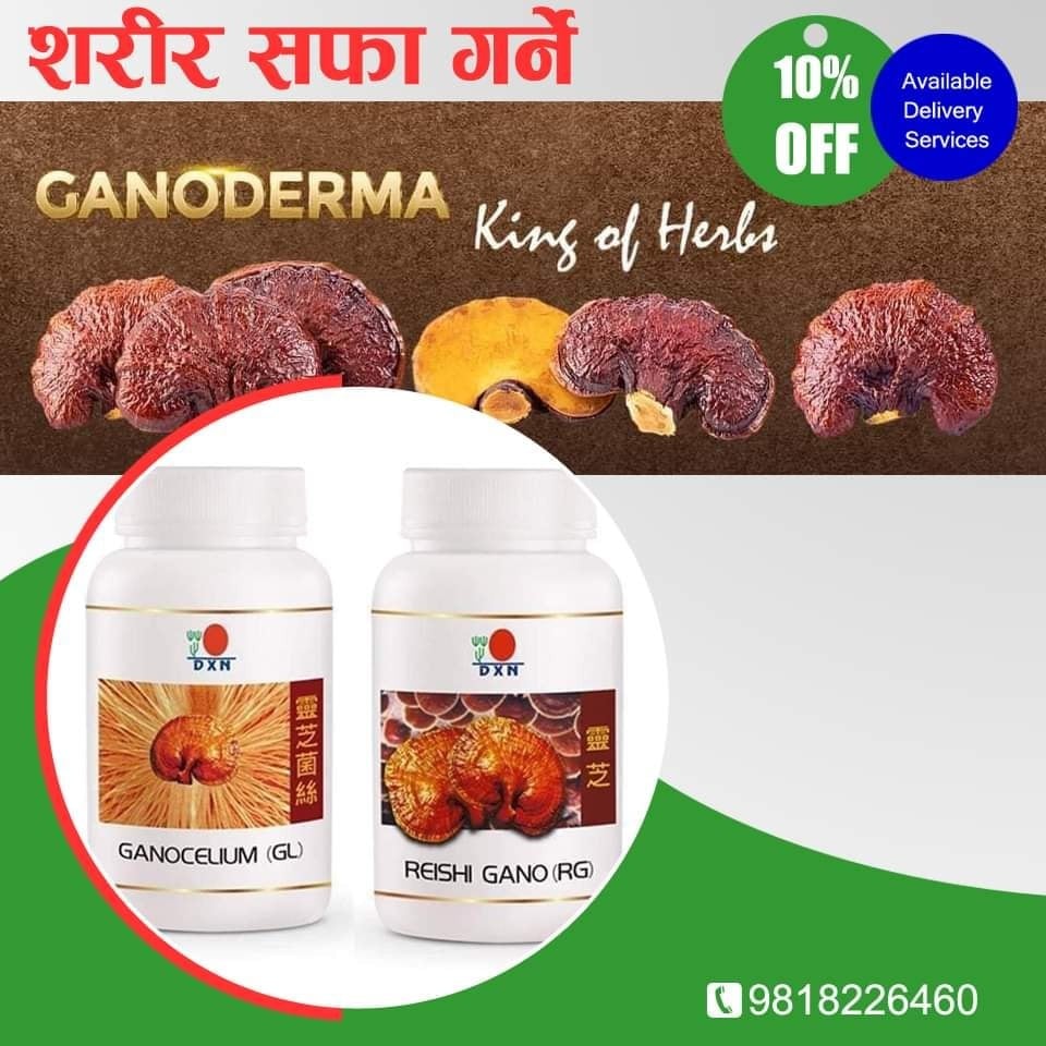 REISHI MUSHROOM POWDER