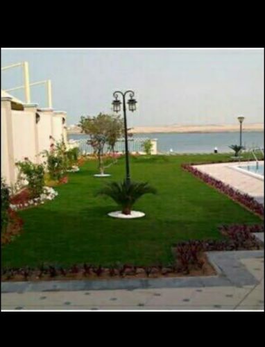 منسق حدائق ٥٥٥٦٧٨٤٨ 
