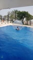 لعبة كرة الهامستر 