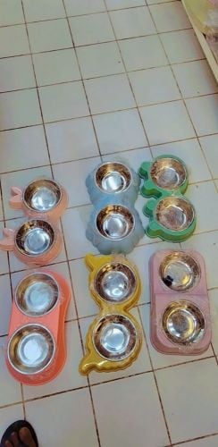 dog Bowl