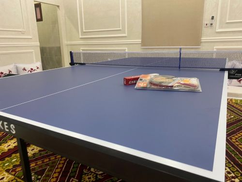 Tennis table 
