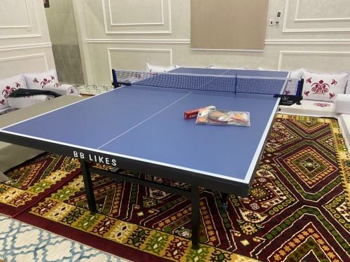 Tabel tennis