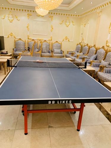 Tabel tennis
