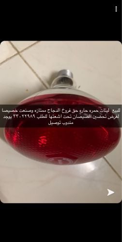 light for sale