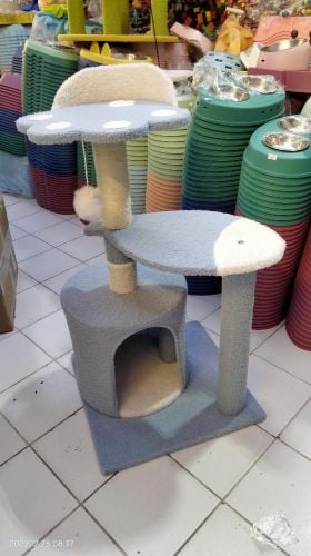 cat stand