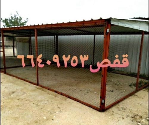 ففص حمام