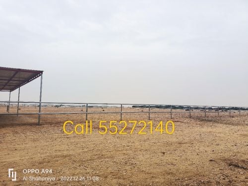 Camel Tobala and Pence. For call