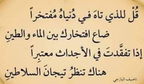 مدرس مصري متخصص فى اللغه العربيه