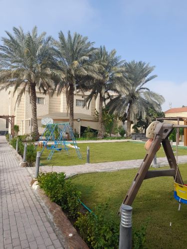 العنايه بلحديق
