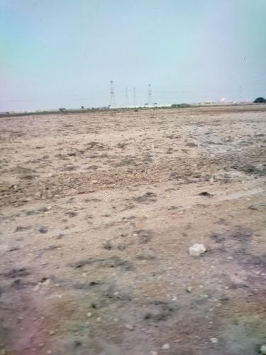 ارض زراعيه بالخور