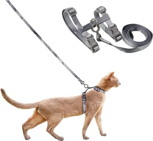 leash+harnessLH