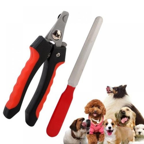 Pet nail scissors cat and dog