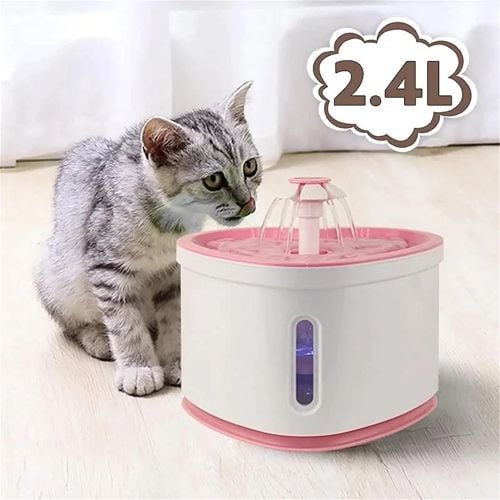 pet fountain