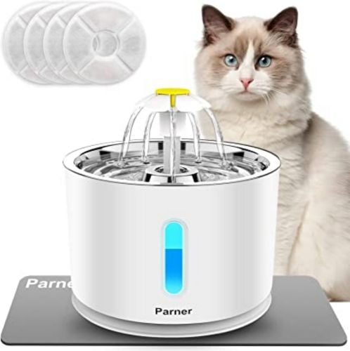 pet drinking fountain