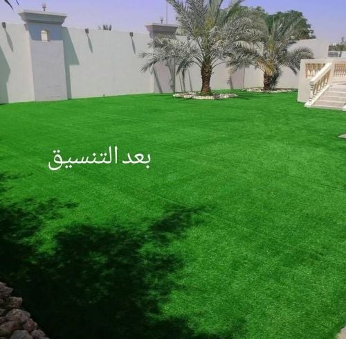 عشب طبيعى