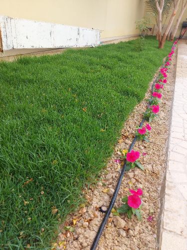 الزراعه والورود