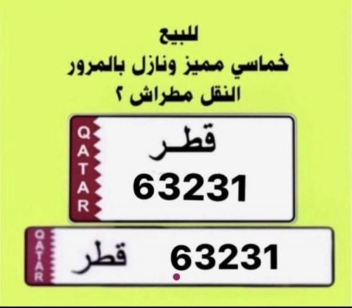 63231