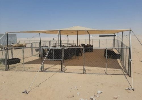 مظلات للعزب