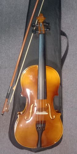 Violin