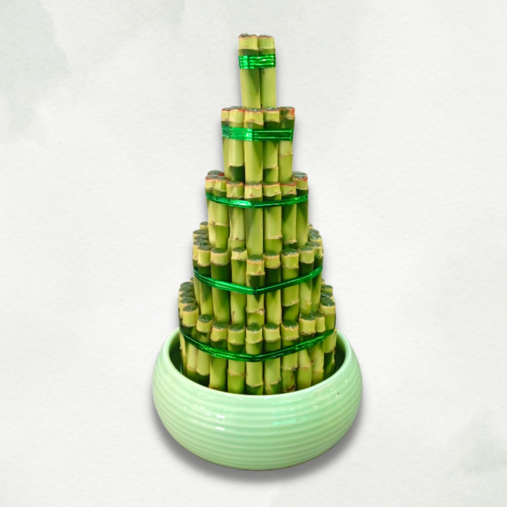 Lucky Bamboo 5 Lyres