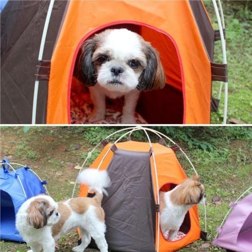 dog house