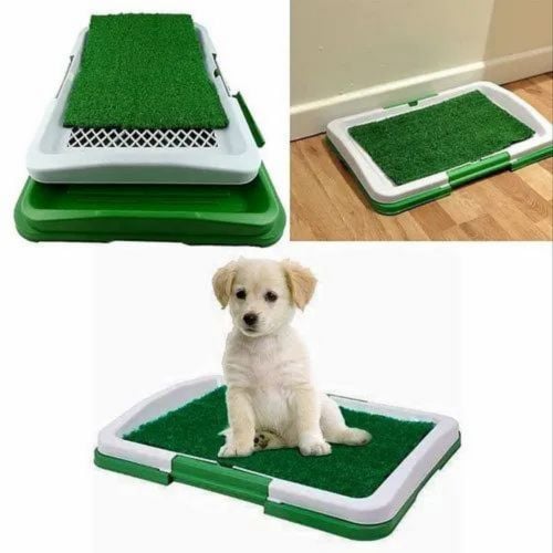 Puppy Potty Training Pad