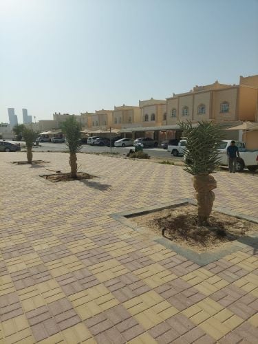 فصيله النخلللل الصغيره