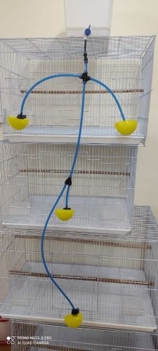 Automatic Drinker for birds