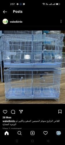 cenarey cages