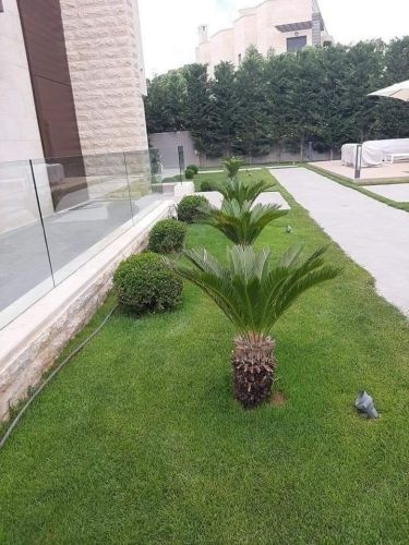 ‎‎‎‎‎‎‎صيانه وترتيب للحدائق