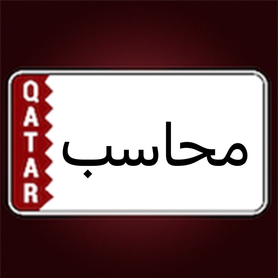 محاسب ومدقق مصري   دوام جزئي    