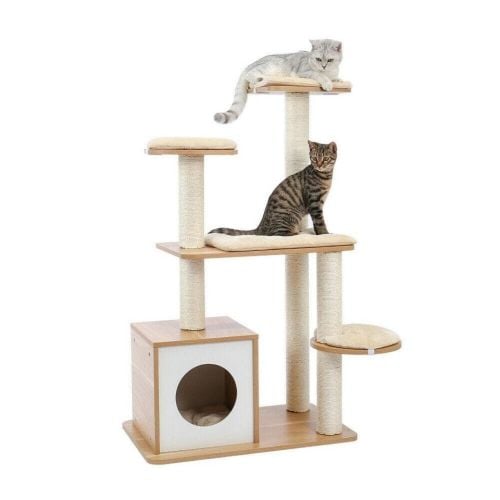 cat screeching post and home