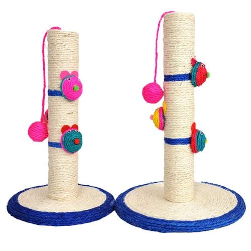 Cat screeching post play games