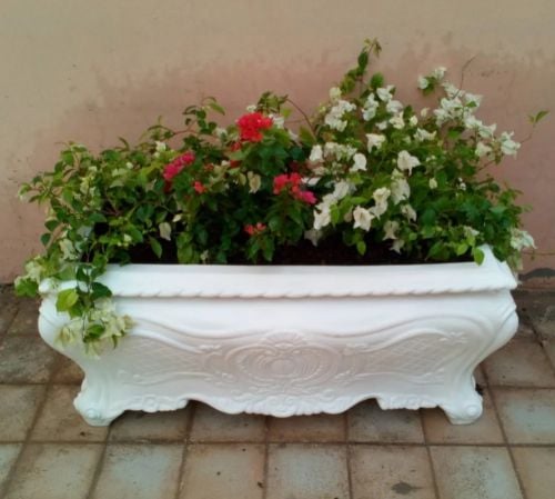 برنطولة