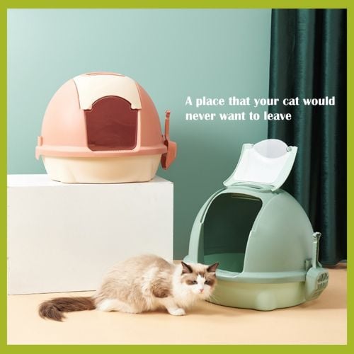 #Pet cat letter Box
