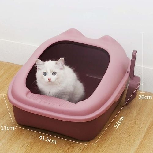 cat letter