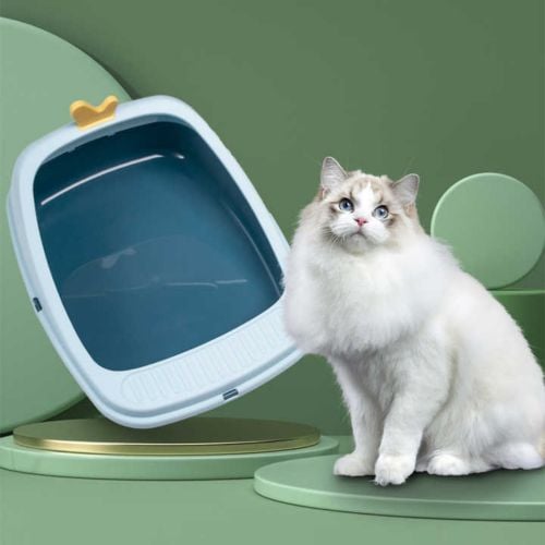cat letter Box
