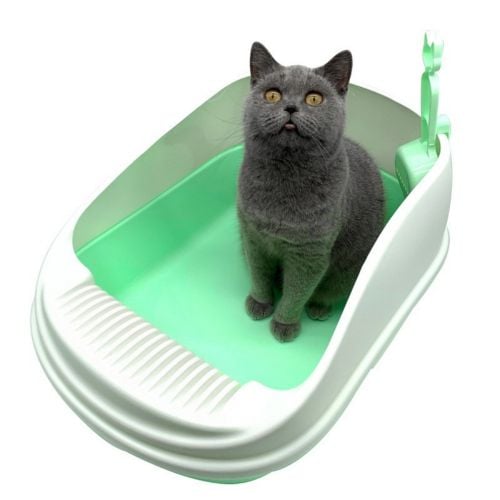 cat letter Box
