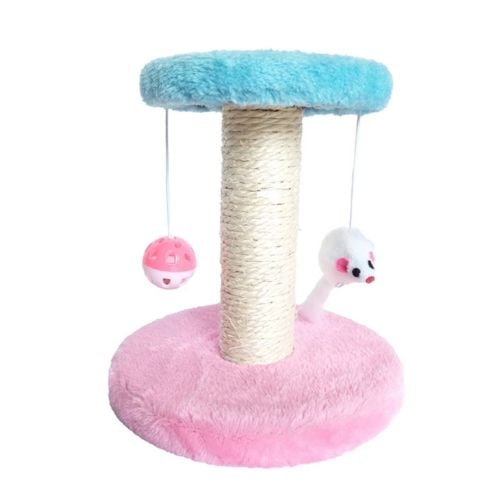 cat screeching post and Game
