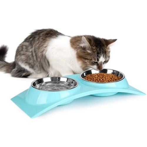 cat bowl