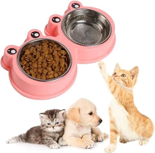 Dog Bowl