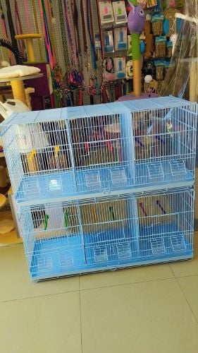 Bird cages