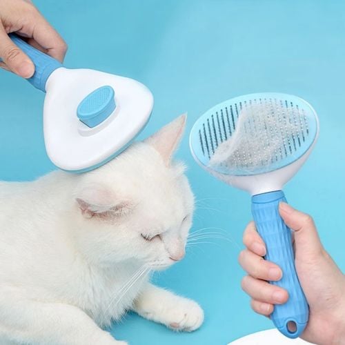 cat and dog hair remov