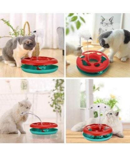 cat playing happy circle