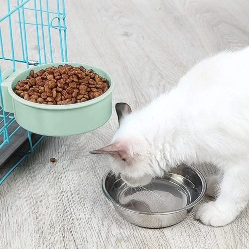 cat bowls with steel