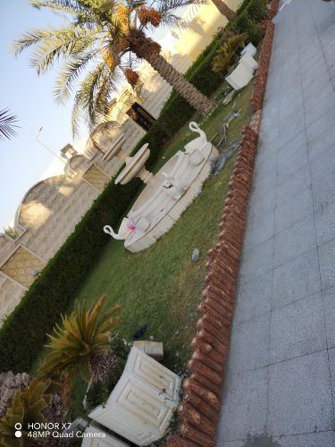 جزوع اشجار وممرات