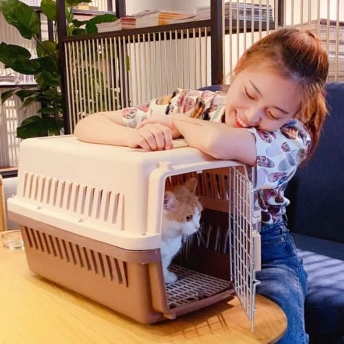 cat and dog cages