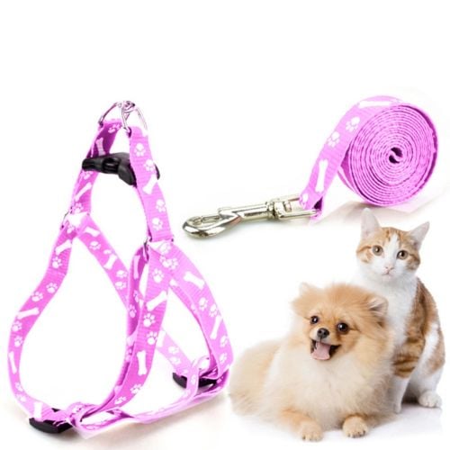 cat and dog leash & Hornes