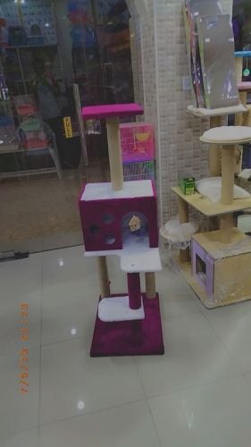 cat stand