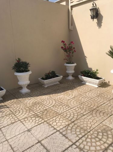 ‎‎‎‎‎‎‎توريد وزراعة الاحواض